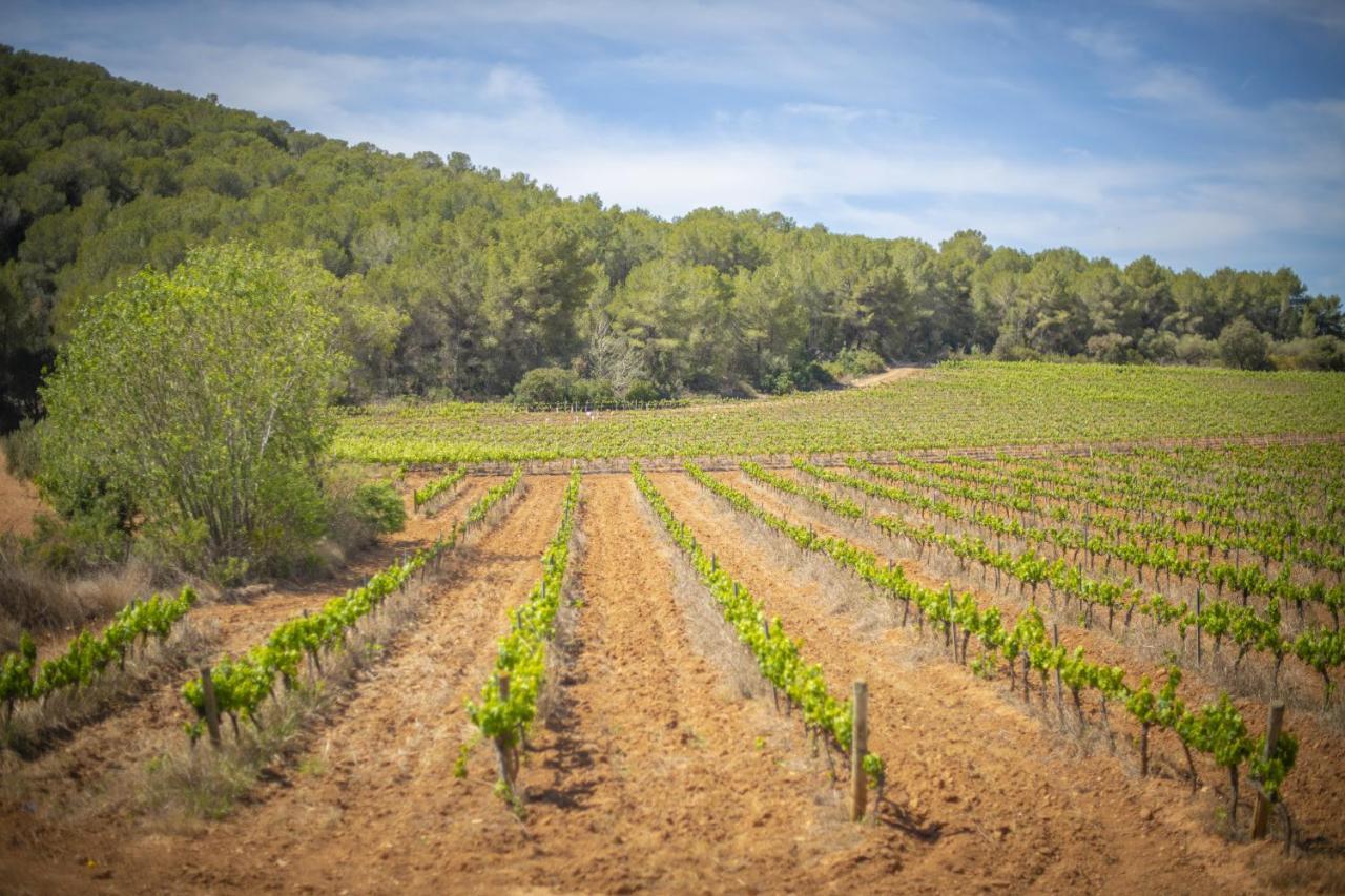 Catalunya Casas Tranquil Nature "Feel" , Yet Only 4 Min To Beach! カラフェル エクステリア 写真